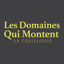 MAISON GENEVRIER - LES DOMAINES QUI MONTENT